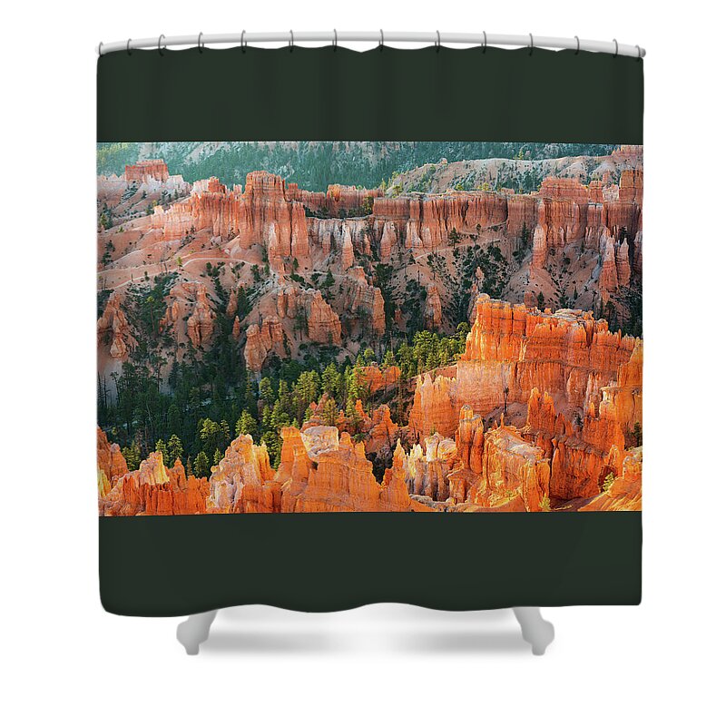 Wall Of Windows Shower Curtain featuring the photograph Bryce Morning Glow by Ron Long Ltd Photography