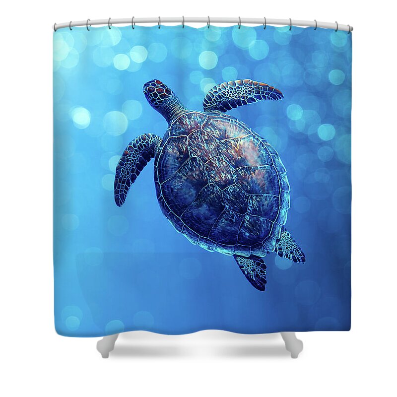 Animal Shower Curtain featuring the photograph Bubbly Blue Sea Turtle by Laura Fasulo
