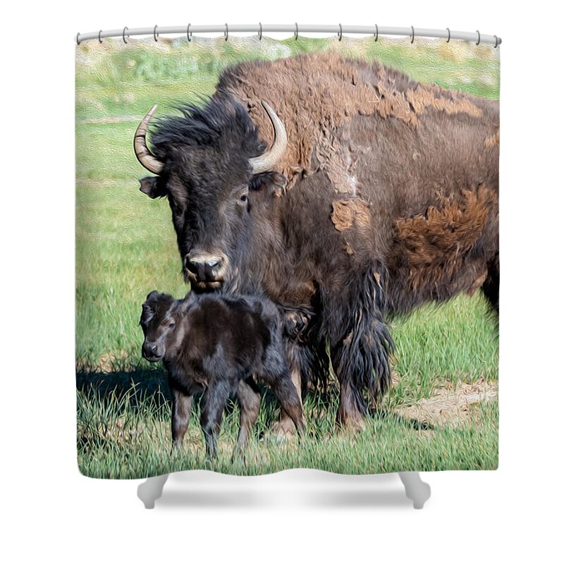 Buffalo And Baby Beefalo Shower Curtain featuring the digital art Buffalo and baby Beefalo by Tammy Keyes