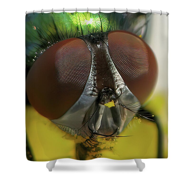 Fly Shower Curtain featuring the photograph Bugged Eyed by Lens Art Photography By Larry Trager