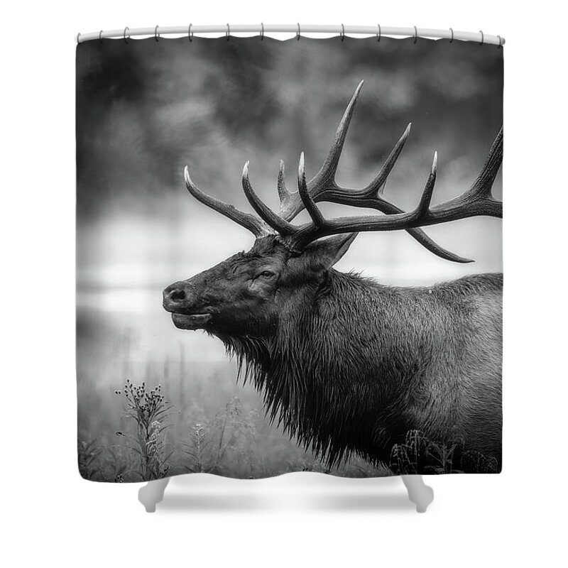 Great Smoky Mountains National Park Shower Curtain featuring the photograph Bull Elk in Rut by Robert J Wagner