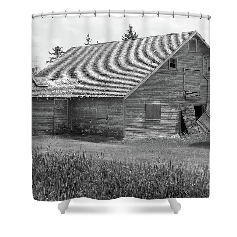 Black Shower Curtain featuring the photograph Bull Sales by Mary Mikawoz