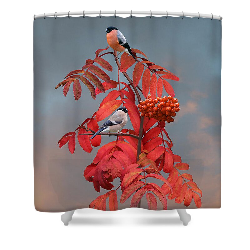 Bird Shower Curtain featuring the digital art Bullfinches in Rowan Tree by M Spadecaller