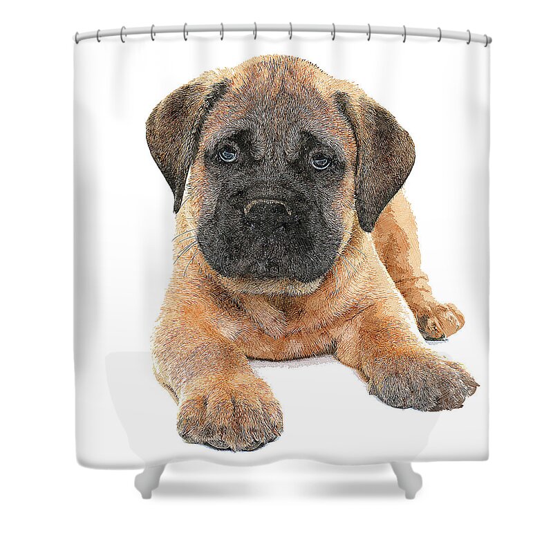 Bullmastiff Shower Curtain featuring the painting So Adorable, Bullmastiff Puppy Dog by Custom Pet Portrait Art Studio