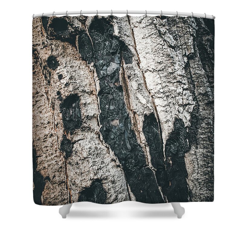 Tree Bark Shower Curtain featuring the photograph Burnt Bark by Kevin Schwalbe
