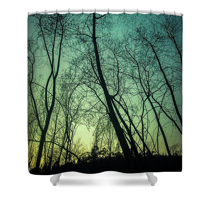 Trees Shower Curtain featuring the photograph Burnt Forest Trees by Carlos Caetano