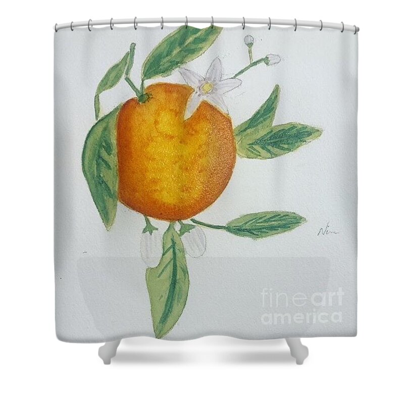 Orange Blossom Flower Watercolour Spring Life Fruit Shower Curtain featuring the painting Bursting With Life by Nina Jatania