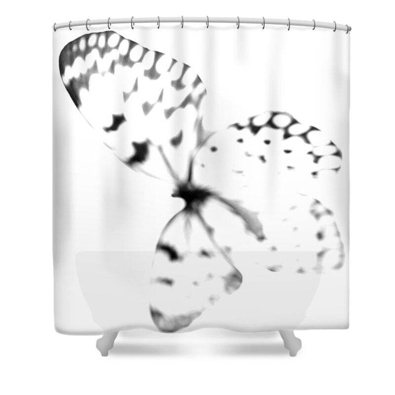 Butterfly Shower Curtain featuring the photograph Butterfly Blanc - Minimal Abstract Black And White by Marianna Mills