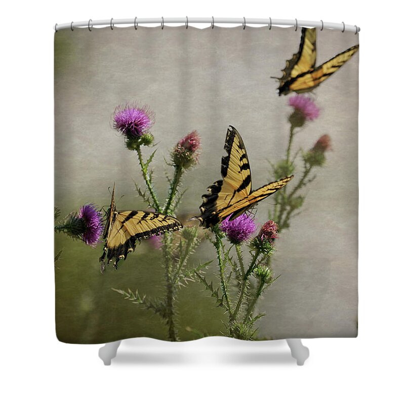 Eastern Tiger Swallowtail Shower Curtain featuring the photograph Butterfly Dreams by Lara Ellis