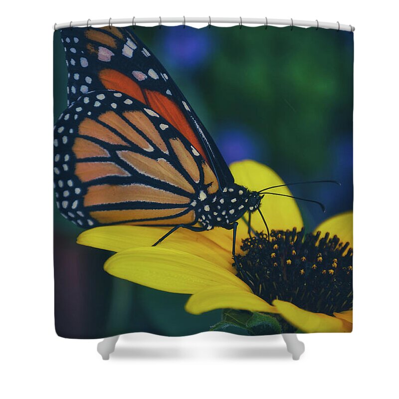 Mountain Shower Curtain featuring the photograph Butterfly Flower by Go and Flow Photos
