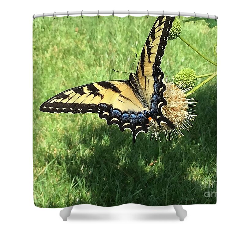 Butterfly Shower Curtain featuring the photograph Butterfly Series 2 by Catherine Wilson