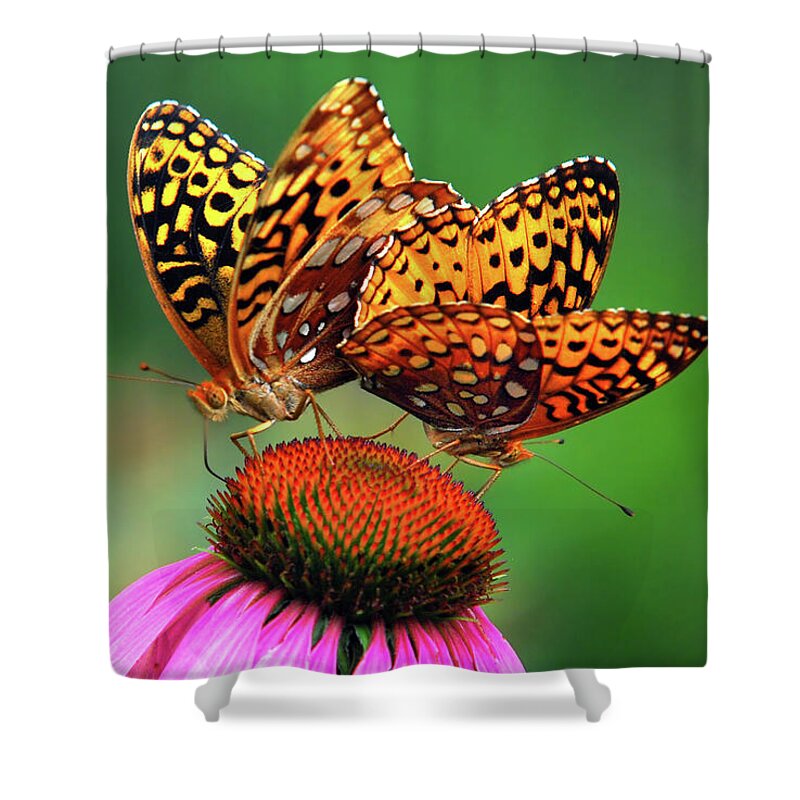 Butterfly Shower Curtain featuring the photograph Butterfly Twins by Christina Rollo
