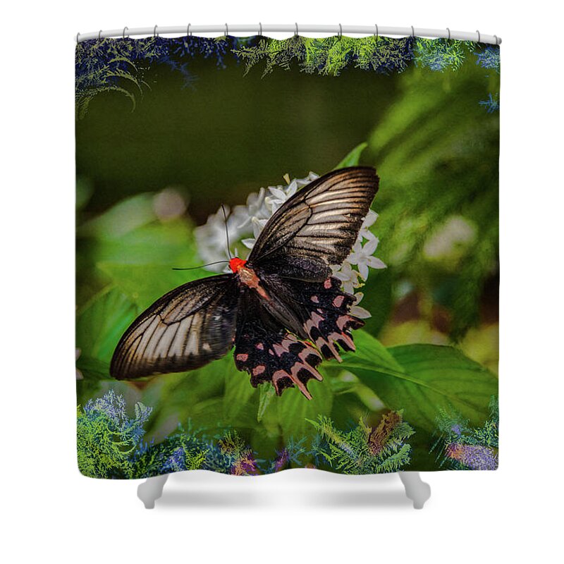 Face Mask Shower Curtain featuring the photograph Butterfly with borders by Patricia Dennis