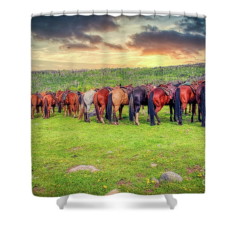 Horses Shower Curtain featuring the photograph Butts by DB Hayes