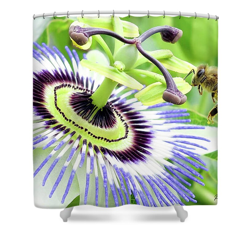 Passion Flower Shower Curtain featuring the digital art Buzzing around 01 by Kevin Chippindall