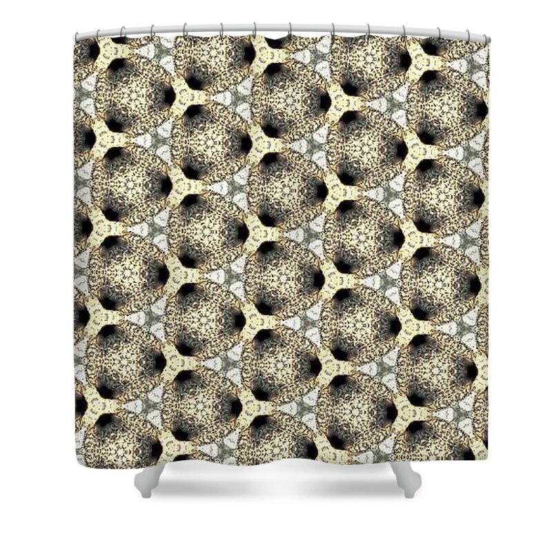  Shower Curtain featuring the photograph Bvv3-14 by Kari Myres