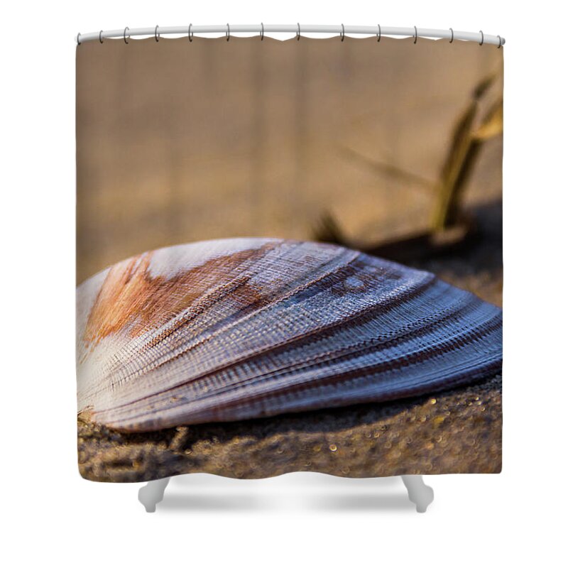 Chincoteague Shower Curtain featuring the photograph By the seashore by Robert Miller