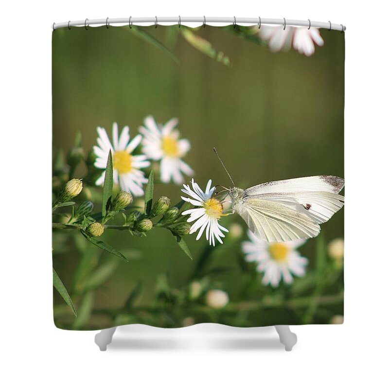 Butterfly Shower Curtain featuring the photograph Cabbage Butterfly on Wildflowers by Christopher Reed