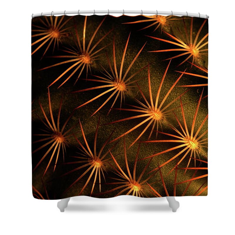  Shower Curtain featuring the photograph Cactus 9519 by Julie Powell
