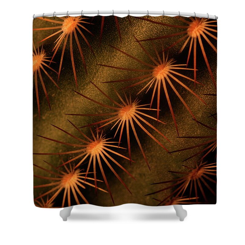 Art Shower Curtain featuring the photograph Cactus 9521 by Julie Powell
