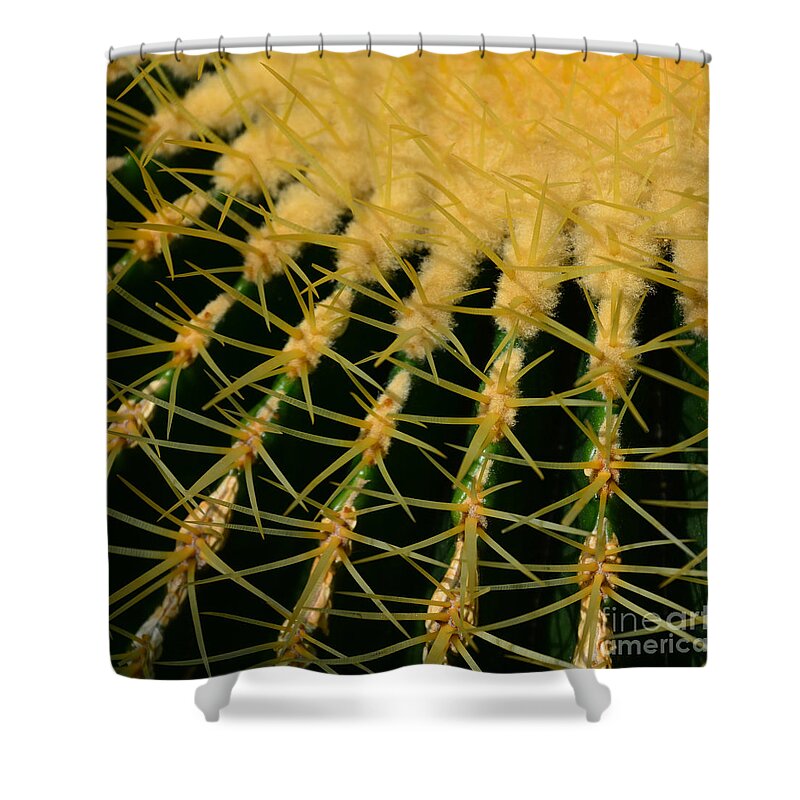 Cactus Shower Curtain featuring the photograph Cactus by Paul Davenport