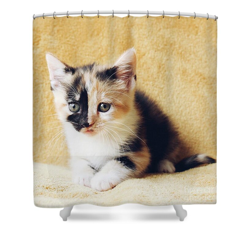 Sea Shower Curtain featuring the photograph Calico by Michael Graham