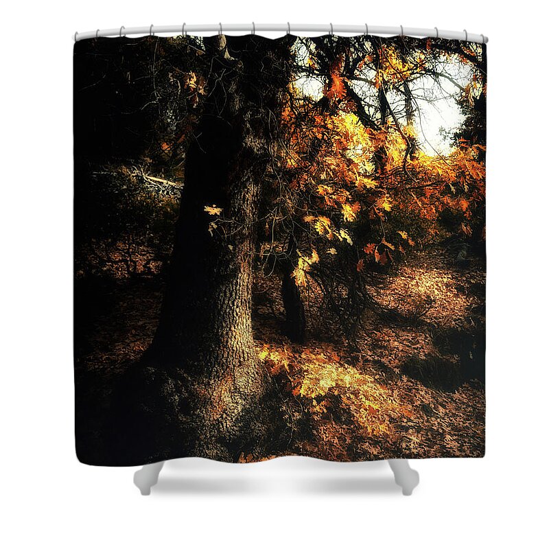 Yosemite Shower Curtain featuring the photograph California Black Oak by Lawrence Knutsson