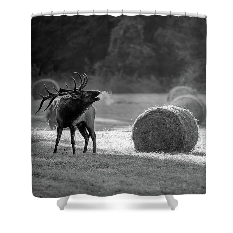 Great Smoky Mountains National Park Shower Curtain featuring the photograph Call of the Wild by Robert J Wagner