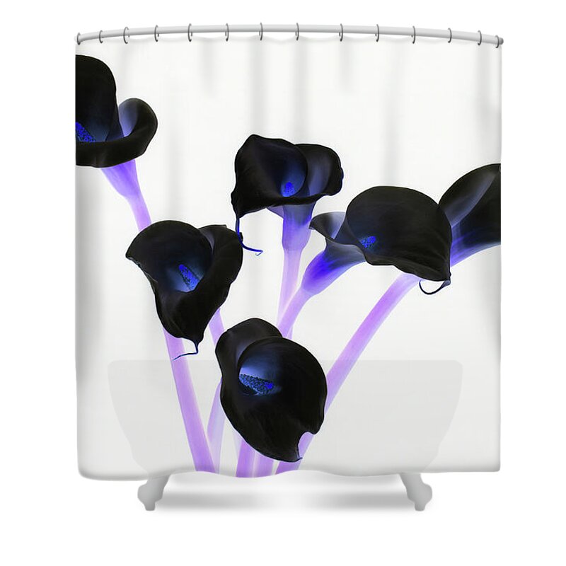 Calla Lillies Shower Curtain featuring the photograph Calla Lillies x 6 Inverted by Steve Templeton
