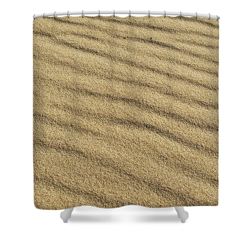 Sand Texture Shower Curtain featuring the photograph Calm sands by Angelo DeVal