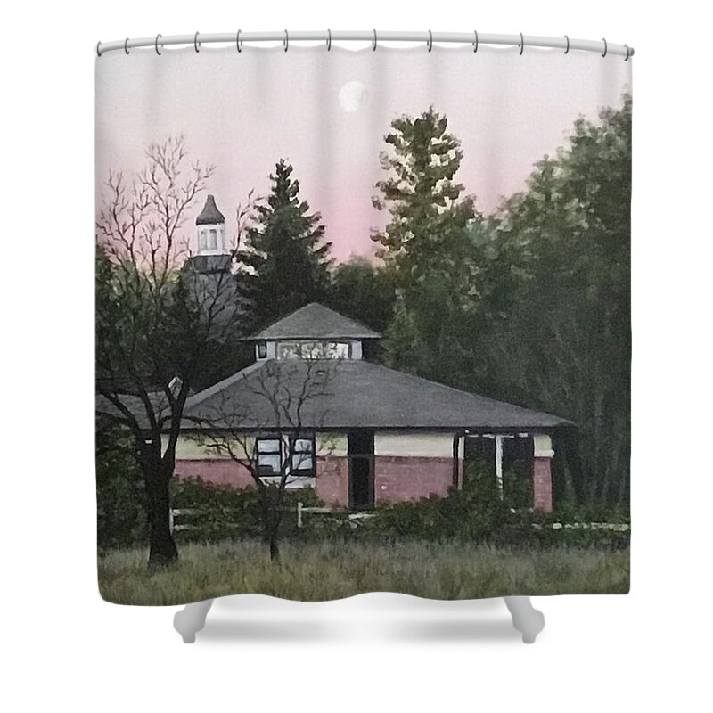 Library Shower Curtain featuring the painting Cambridge Library by Dan Wagner
