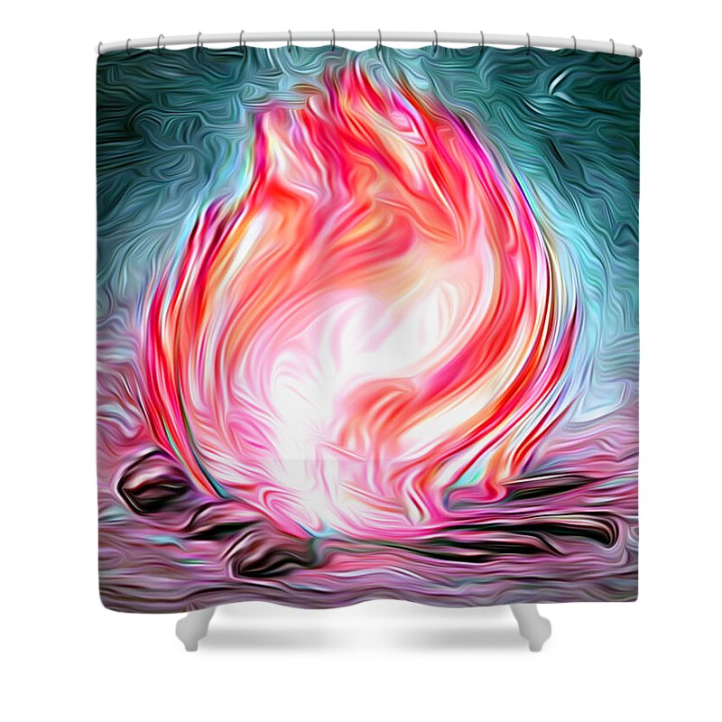 The Entranceway Shower Curtain featuring the digital art Campfire Ball by Ronald Mills
