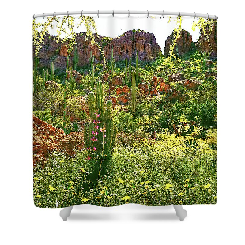 Cactus Shower Curtain featuring the photograph CAN YOU FIND THE HUMMINGBIRD?, HORIZONTAL, Arizona by Don Schimmel