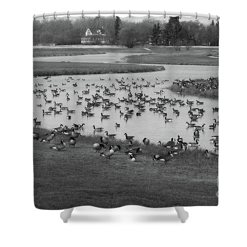 Nature Shower Curtain featuring the photograph Canada Geese on the Bend by Mary Mikawoz