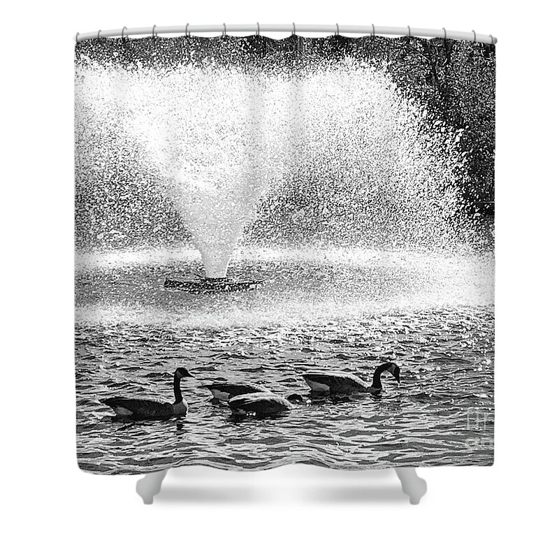 Canada Shower Curtain featuring the photograph Canada Goose Fountain by Mary Mikawoz