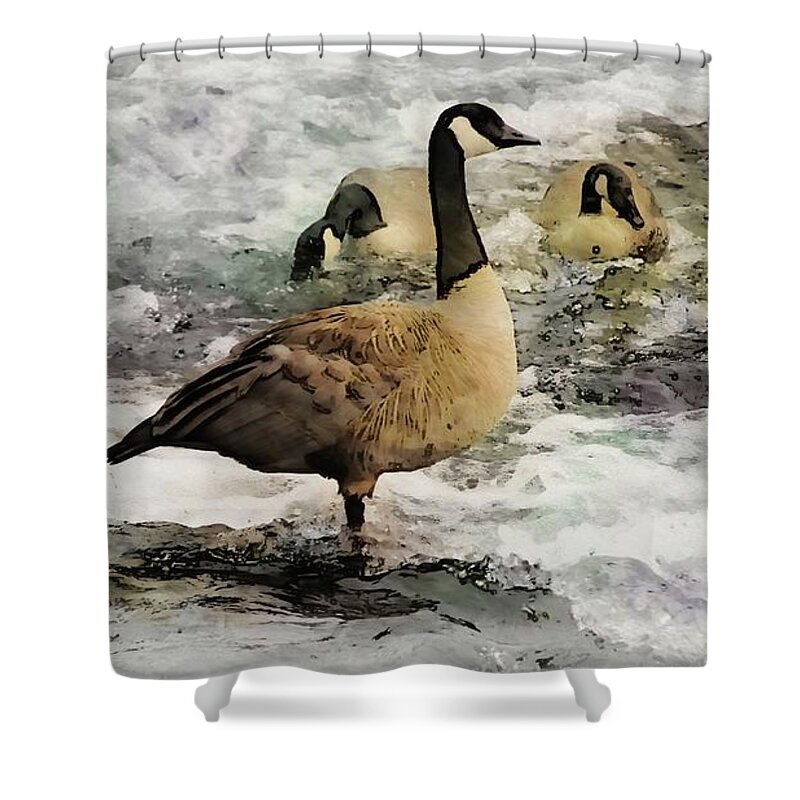Goose Shower Curtain featuring the digital art Canadian Geese by Aurelia Schanzenbacher