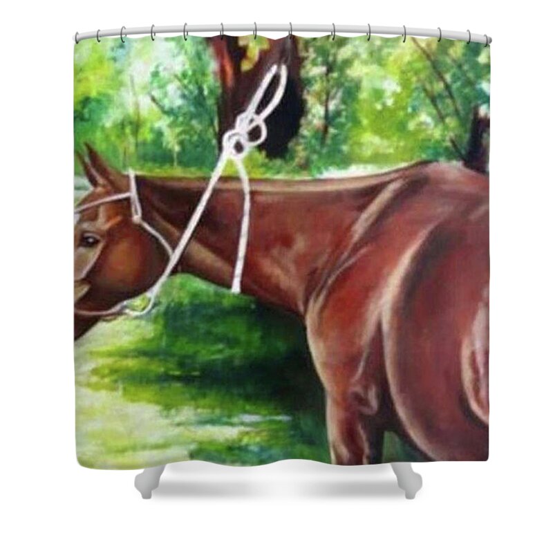 Wallpaint Shower Curtain featuring the painting Cancha Del Rio 3 by Carlos Jose Barbieri