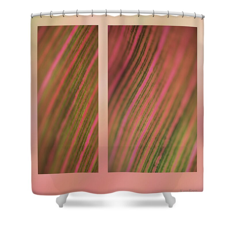 Abstract Shower Curtain featuring the photograph Canna by Karen Rispin