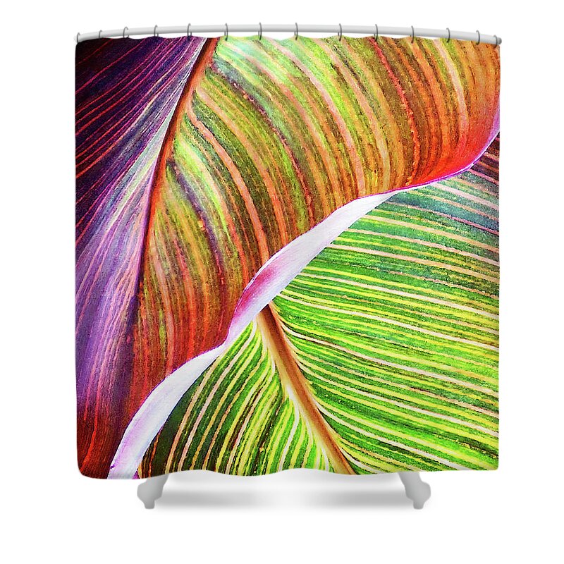 Abstract Shower Curtain featuring the mixed media Canna Ripples 1 by Sharon Williams Eng