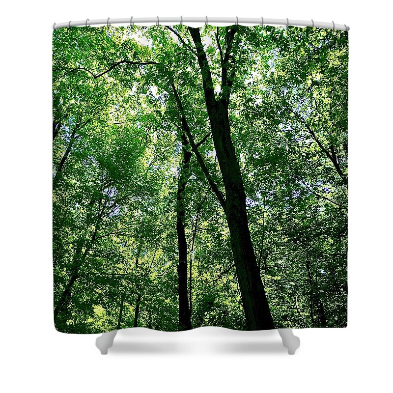 Canopy Shower Curtain featuring the photograph Canopy by Gordon James