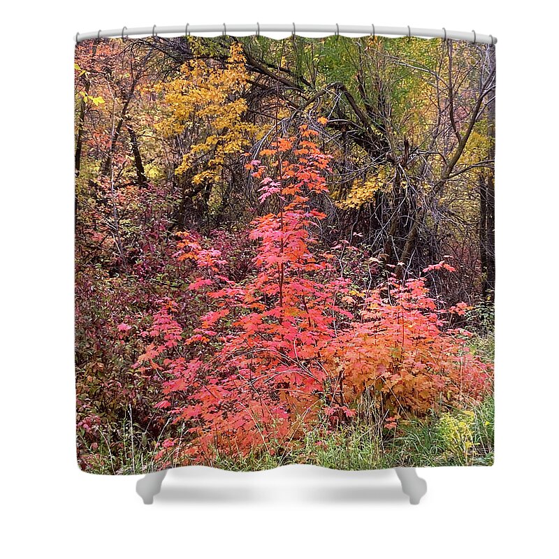 Color Shower Curtain featuring the photograph Canyon Colors by Rona Black