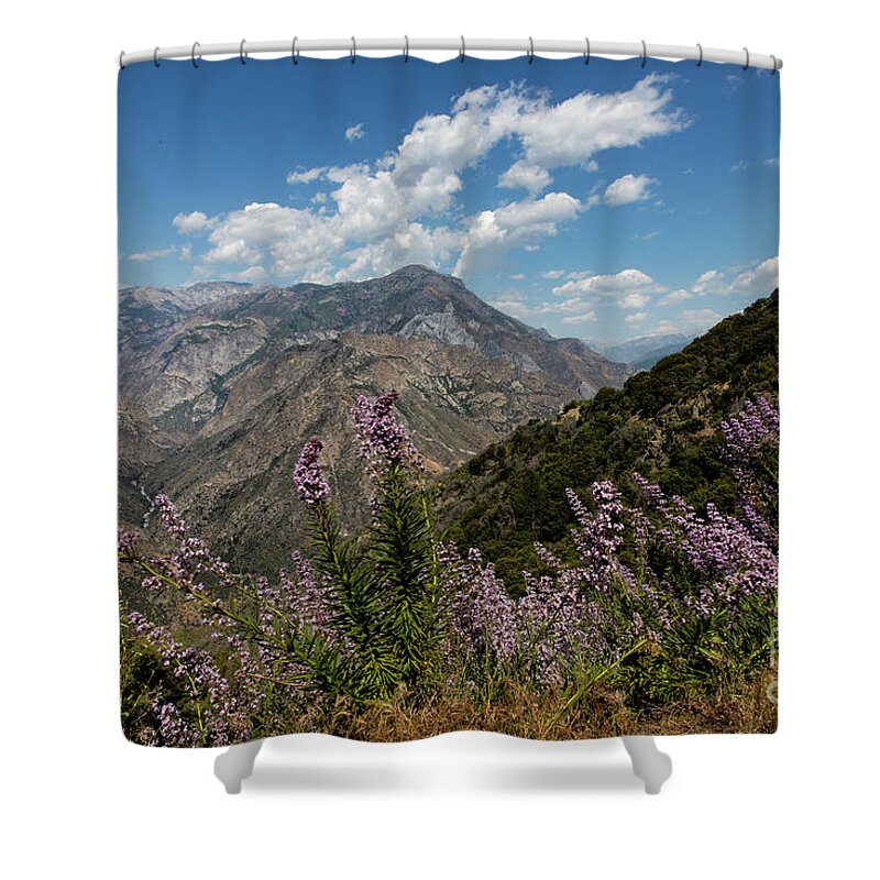 Kings Canyon Shower Curtain featuring the photograph Canyon Wildflowers by Erin Marie Davis