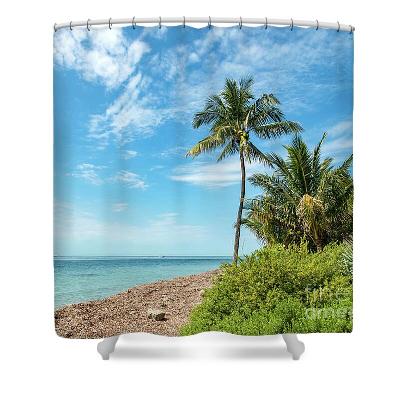 Palm Shower Curtain featuring the photograph Cape Florida Beach by Beachtown Views