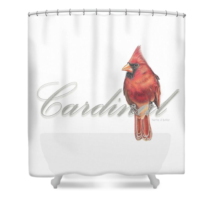Cardinal Shower Curtain featuring the drawing Cardinal - Male Northern Cardinal by Karrie J Butler
