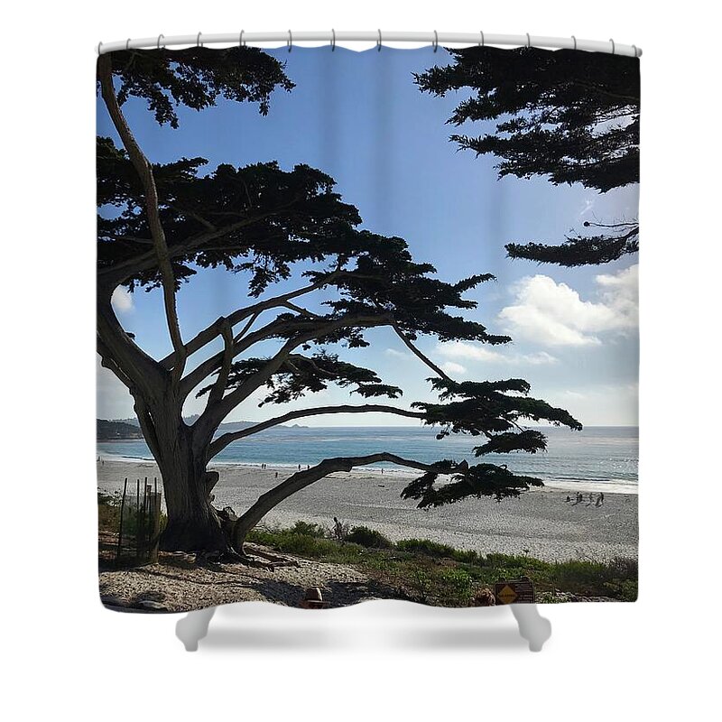 Carmel By The Sea Shower Curtain featuring the painting Carmel Beach by Luisa Millicent