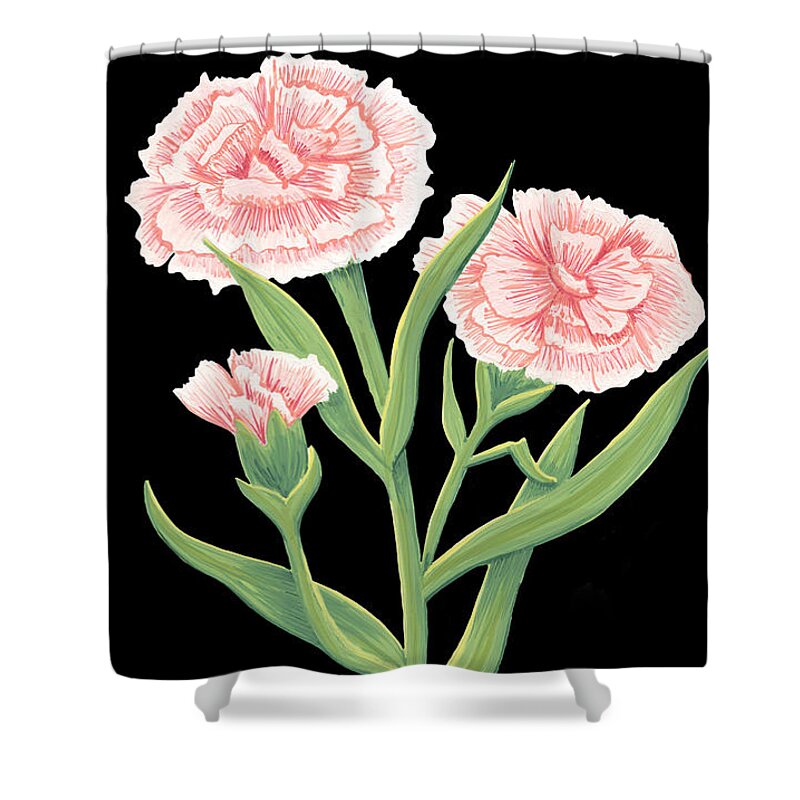 Carnation Shower Curtain featuring the painting Carnation January Birth Month Flower Botanical Print on Black - Art by Jen Montgomery by Jen Montgomery
