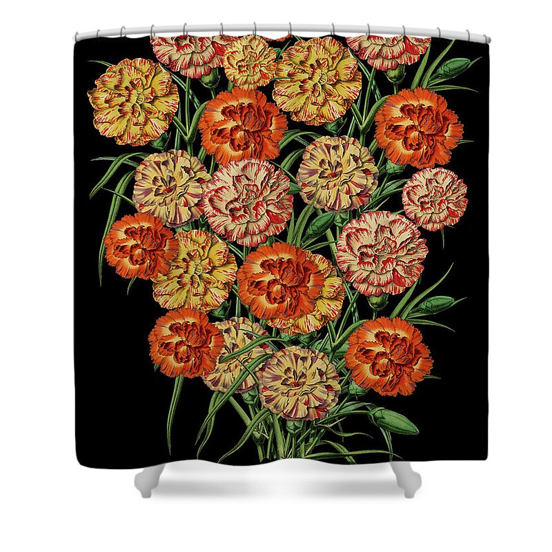Carnations Shower Curtain featuring the digital art Carnations on Black by Lorena Cassady