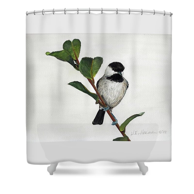 Branch Shower Curtain featuring the painting Carolina Chickadee by Heather E Harman