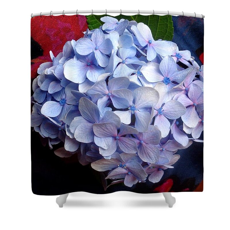 Hydrangea Shower Curtain featuring the photograph Carolyn's Hydrangea Blue by VIVA Anderson