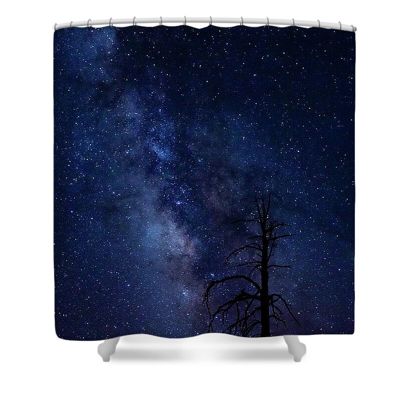 Carson National Forest Shower Curtain featuring the photograph Carson National Forest by Maresa Pryor-Luzier